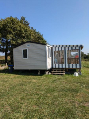 Mobil home 4x8m et terrasse 18m2